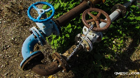 qwgsc干货分享｜常用的阀内件材质有哪些